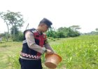 Sinergitas Polri Bersama Warga Desa Gempol Melaksanakan Penanaman Pohon Jagung