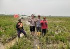 Polsek Cikampek dan Kades Kertawaluya Kawal Langsung Evakuasi Mesin dan Cabin Pesawat GA8 Airvan dari Sawah 