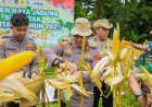 Kapolres Karawang Laksanakan Giat Panen Raya Jagung Kuartal IV Tahun 2025, Sekaligus Pelaksanaan Zoom Meeting Bersama Kapolri