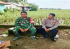 Jalin Sinergitas TNI - Polri, Bhabinkamtibmas Dan Babinsa TNI Laksanakan Patroli Bersama