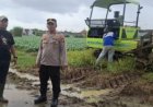 Kapolsek Klari Cek dan Garap Lahan Darat Luas 1 hektar Akan Ditanami Jagung Hibrida
