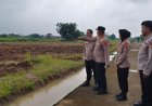 Kapolsek Klari Dampingi Kabag SDM Polres Karawang Cek Lahan Jagung 
