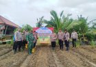 Dukung Ketahanan Pangan Berkelanjutan Polres Karawang, Polsek Rengasdengklok Serentak Laksanakan Penanaman Jagung Kwartal 1 Tahun 2026