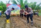 Dukung Ketahanan Pangan Berkelanjutan Polres Karawang, Polsek Rengasdengklok Serentak Laksanakan Penanaman Jagung Kwartal 1 Tahun 2026