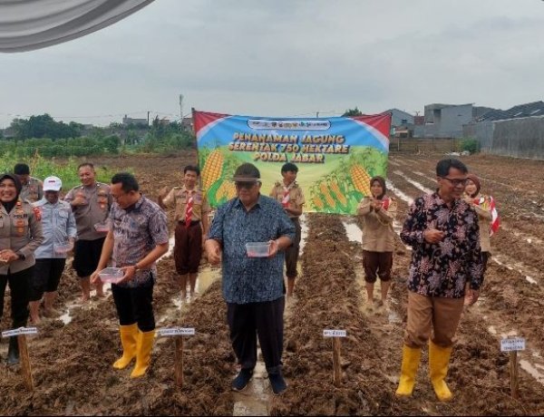 Dalam Rangka Mendukung Swasembada Pangan Polsek Purwasari Polres Karawang Kembali Menanam Jagung Hibrida